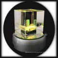 3D gravadas a laser buddilng cristal presentes ofícios de cristal com base conduzido girar